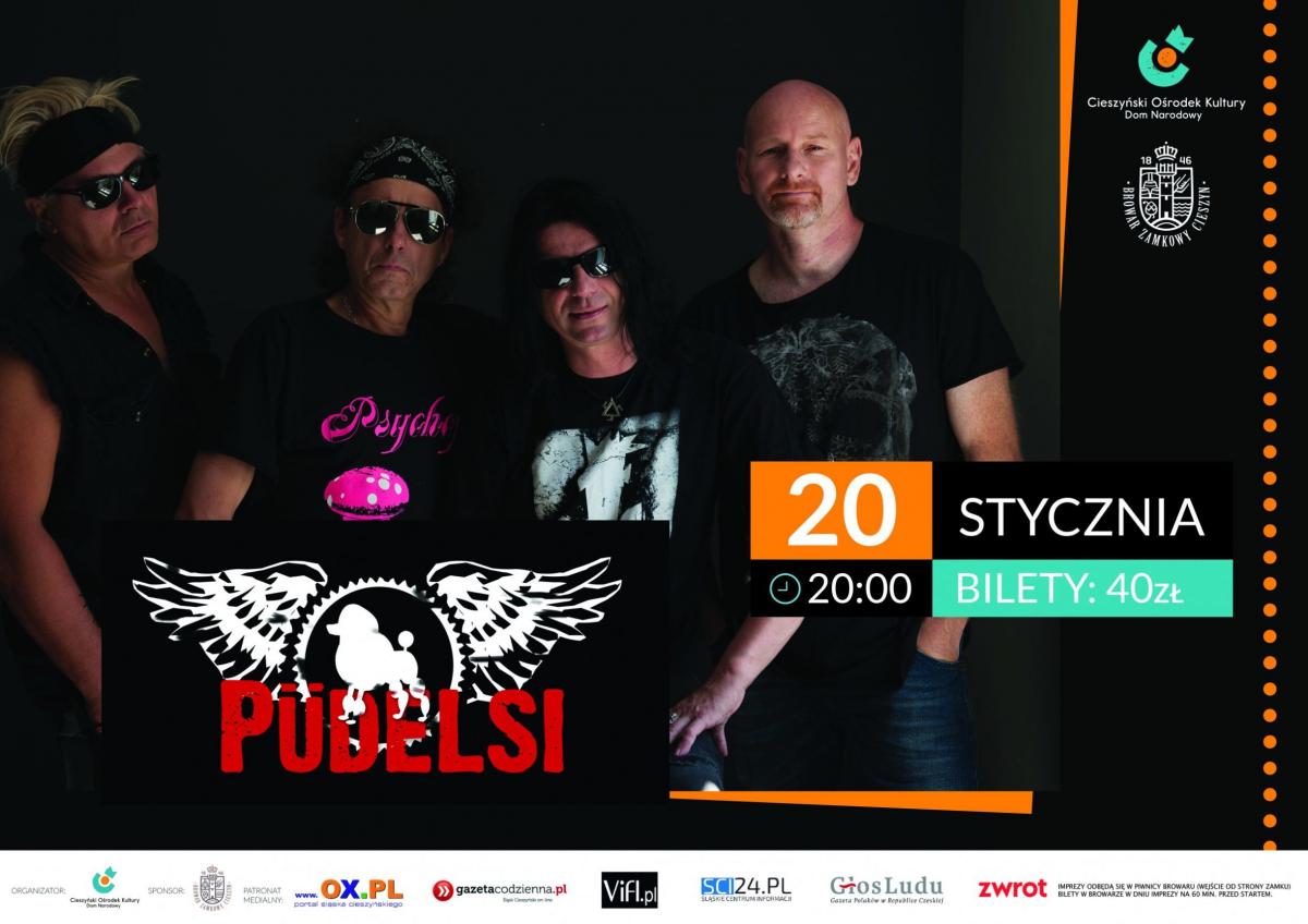 Cieszyn: Pudelsi w Cieszynie 20.01