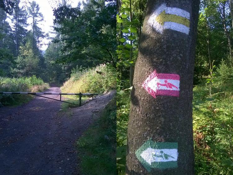 Kozy otwierają nowe trasy do uprawiania Nordic Walking