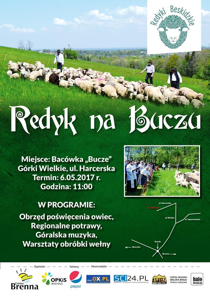Redyk na Buczu 6.05