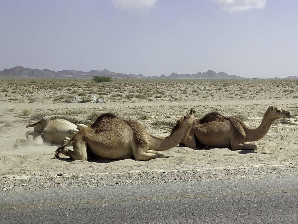 Spotkania Podróżników: Oman