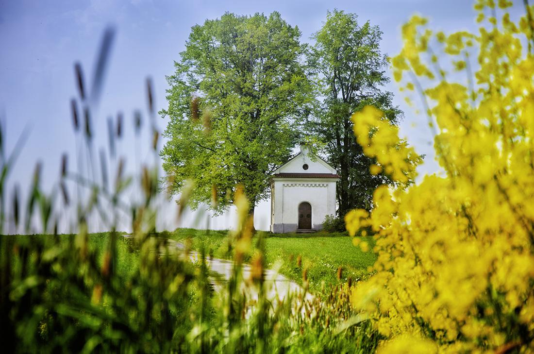 Wystawa: Cudze chwalicie, swego nie znacie…