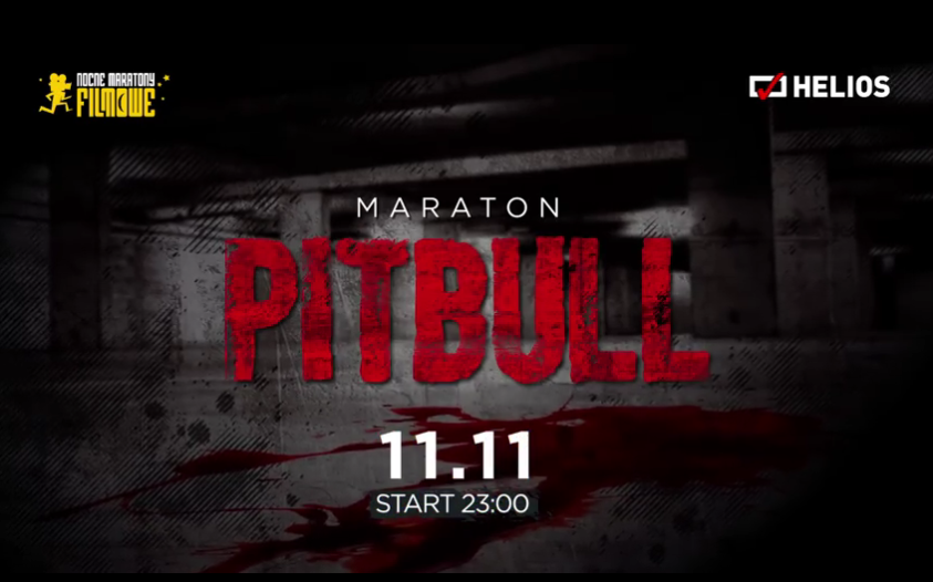 Maraton Pitbulla z premierą 