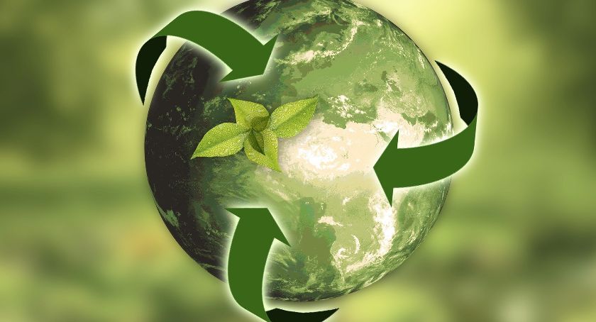 Recykling daje owoce
