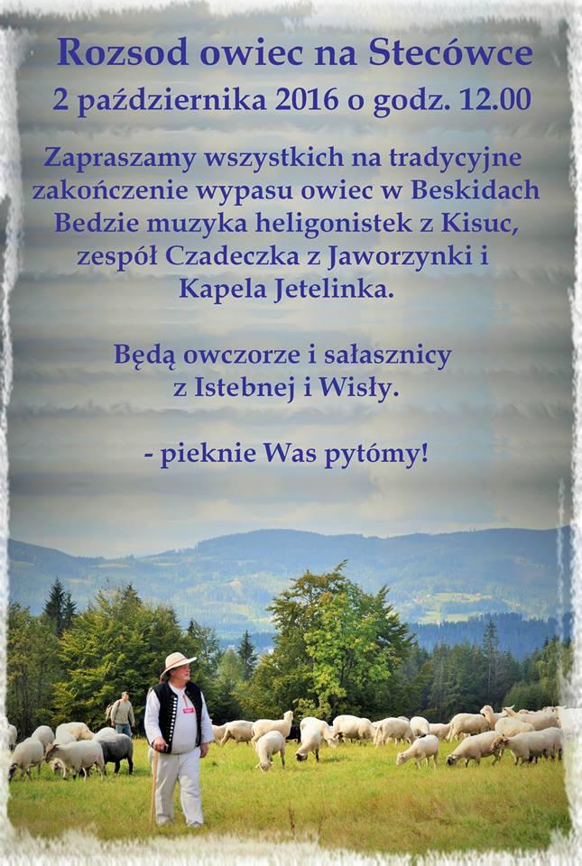 Rozsód Łowiec na Stecówce 2.10