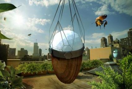 Let’s bee friends, czyli zaprzyjaźnij się z pszczołami