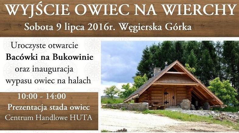 Wyjście owiec na wierchy - 09.07
