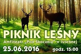Festyn pod Skocznią  25.06