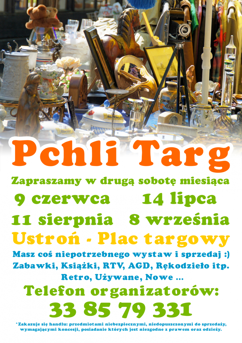 Pchli Targ w Ustroniu 08.09