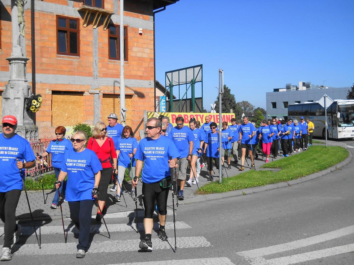 Skoczów: Ostatni etap Błękitnego Marszu nordic walking 18.10