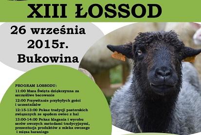 Redyk Jesienny w Bukowinie - 26.09