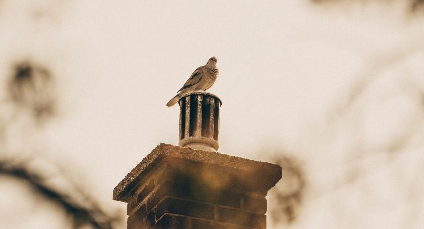 Drony nad bielskimi kominami będą w tym roku latały częściej