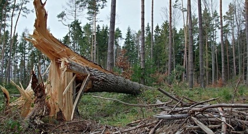 Pogoda w Beskidach: Uwaga, Wichura!