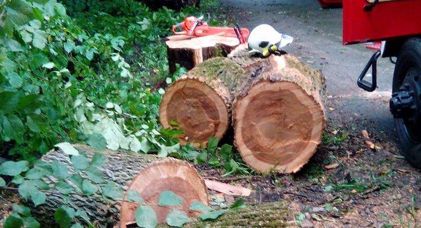 Skutki nocnej wichury w Bielsku-Białej, Cieszynie i Żywcu (Foto)