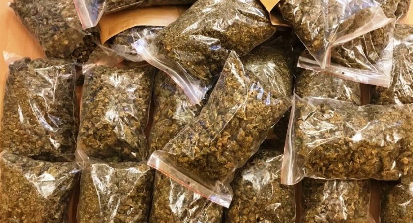 Policja Cieszyn ujawniła ponad 4 kg marihuany podczas antynarkotykowej akcji