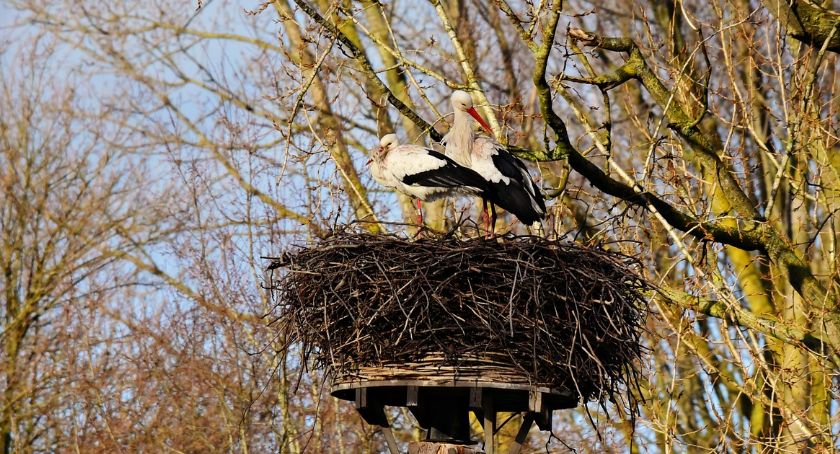 Pogoda w Beskidach: Wiosenny początek weekendu, później ochłodzenie 
