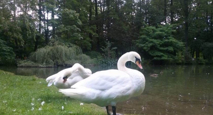 Park Żywiecki został zamknięty do odwołania