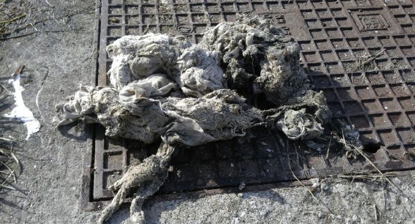 Chusteczki bakteriobójcze zmorą oczyszczalni 