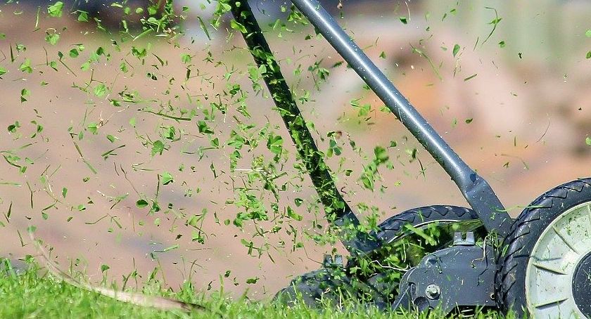 W Bielsku-Białej można oddać więcej odpadów zielonych