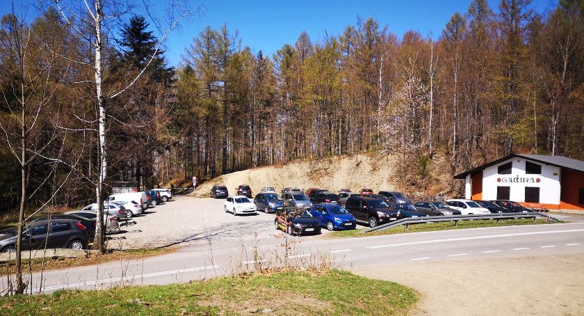 Od dzisiaj możemy iść do lasów i parków. Zmiany również w innych obostrzeniach