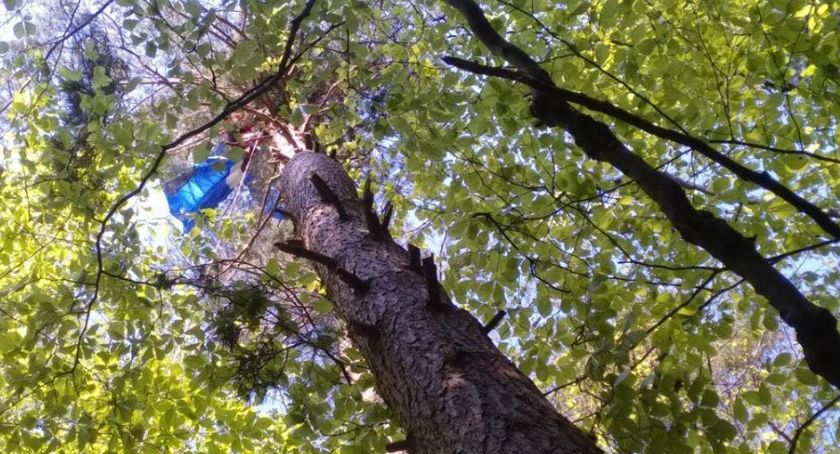 Upadek paralotniarza w rejonie Góry Żar