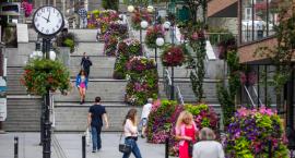Bielsko-Biała najpiękniej ukwieconym miastem? Plebiscyt Terra Flower Power 2020 