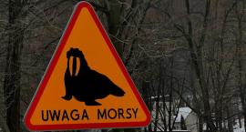 Gmina Porąbka wspiera morsowanie. Amatorzy zimnych kąpieli mają wyznaczone miejsce