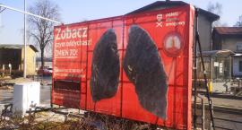 Wielkie płuca w Czechowicach-Dziedzicach, efekt po tygodniu przeraża