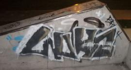 Graficiarz ujęty na gorącym uczynku przez bielską St&hellip;