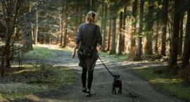 Antyspalarniowy Spacer po zdrowie z przewodnikiem, w niedzielę w Wapienicy