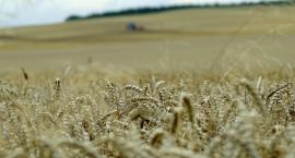Dni Kóz, Święto Powiatu Bielskiego i Dożynki | Trzy imprezy w jednej 11-12.09