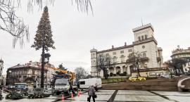 Nowa choinka i inne ozdoby świąteczne w Bielsku-Białej | Od kiedy będzie można je podziwiać?