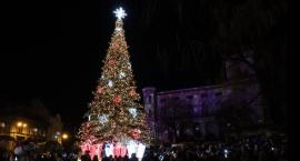 Choinka w Bielsku-Białej już rozbłysnęła FOTO