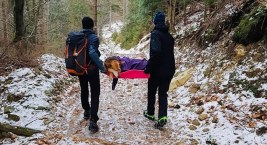 Turyści znaleźli w górach niewidomego wilczura i natychmiast ruszyli mu z pomocą