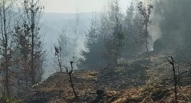 Spaliło się 7 hektarów lasu | W akcji gaśniczej brały udział samoloty gaśnicze