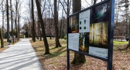 Park w Cygańskim Lesie przeszedł metamorfozę FOTO