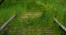  Wciąż jest szansa na pieniądze na remont linii kolejowych do Skoczowa i Suchej Beskidzkiej