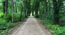 Kolejny bielski park w remoncie | Park Strzygowskiego nie zostanie zamknięty dla mieszkańców