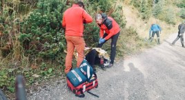 Rowerzysta zderzył się z jeleniem, interweniował GOPR
