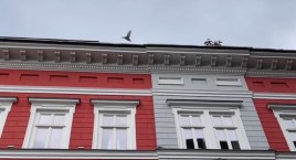 Małe kaczuszki skakały z czwartego piętra Sfery