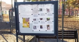 Specjalne tablice zachęcają do adopcji psów ze schroniska w Bielsku-Białej