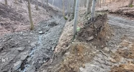 Zasypano koryto części potoku Olszówka podczas robót leśnych. Ekolodzy podnoszą alarm