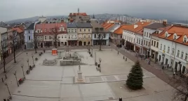 Nowe pomniki przyrody i kamera na bielskim Rynku