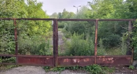 Teren po dawnej giełdzie i okrąglaku zarasta chaszczami