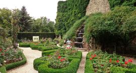 Parki kieszonkowe w Bielsku-Białej