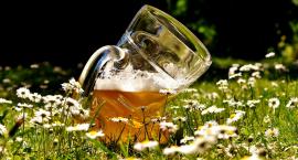 Gdzie można legalnie pić alkohol w miejscu publicznym?