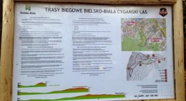 Trasy biegowe w Cygańskim Lesie otwarte