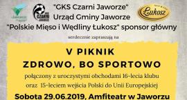 V piknik 