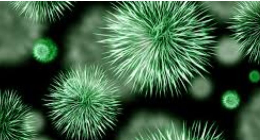 Sytuacja epidemiczna w powiecie bez zmian