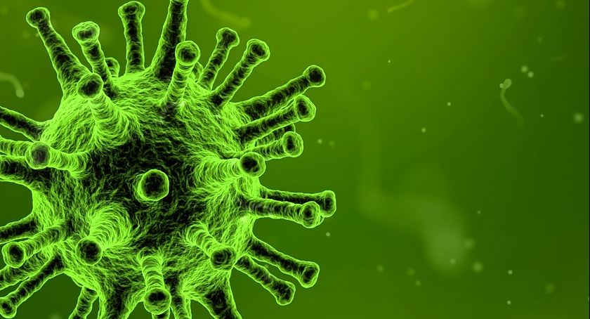 Informacje dotyczące sytuacji epidemicznej z regionu