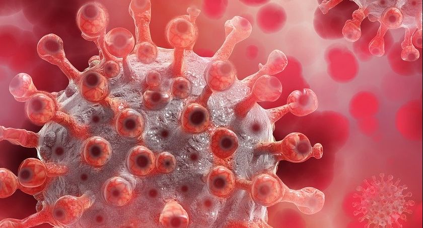 Informacje epidemiczne z regionu